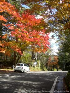 軽井沢フィアットピクニック FIAT PCNIC 2018/10/27 紅葉（もみじ）