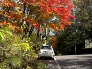 軽井沢フィアットピクニック FIAT PCNIC 2018/10/27 紅葉（もみじ）