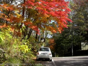 軽井沢フィアットピクニック FIAT PCNIC 2018/10/27 紅葉（もみじ）