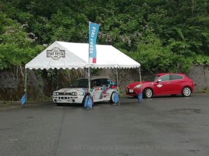 フィアット フェスタ FIAT FESTA 2019