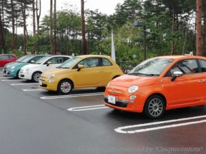 フィアット ピクニック 2019 FIATバースデーイベント