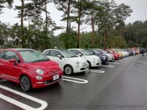 フィアット ピクニック 2019 FIATバースデーイベント