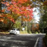 軽井沢フィアットピクニック FIAT PCNIC 2018/10/27 紅葉（もみじ）